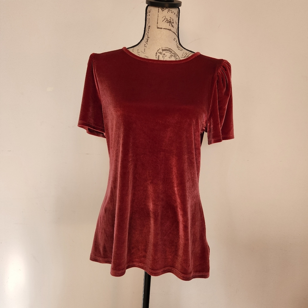 Express Velvet Wine colored top w puff short sleeves, Size L